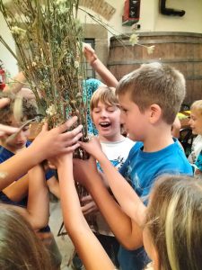 Grupo de niños sosteniendo y examinando plantas secas altas en el interior de una vivienda, algunos con expresiones de entusiasmo.