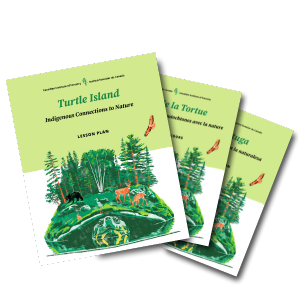 IMFN-Lesson-Plan-Turtle-Island-ENG-first Tres cuadernillos de planes de lecciones titulados "Conexiones indígenas de la Isla Tortuga con la naturaleza" en inglés, francés y español.