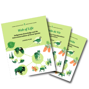 IMFN-Lesson-Plan-Web-of-Life-ENG-first Tres cuadernillos de planificación de lecciones titulados "La red de la vida" en inglés, francés y español, con ilustraciones de animales y plantas del bosque.