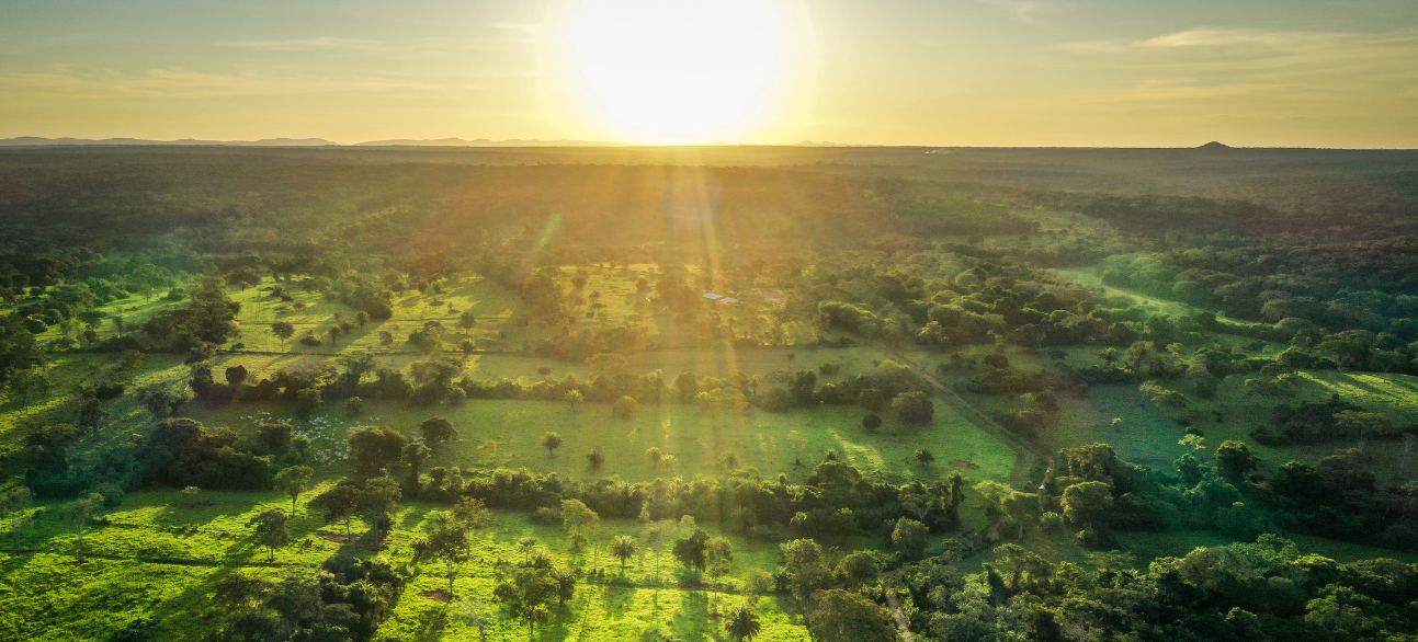 Puesta de sol sobre un vasto paisaje verde con árboles dispersos y campos bajo un cielo parcialmente nublado.