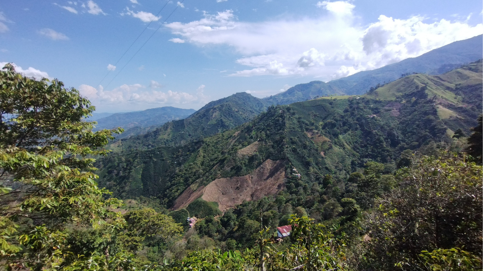 large forested landscape with mountains.
